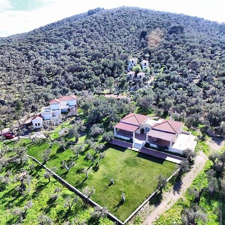 Gera'S Olive Grove - Elaionas Lesvou Hotel Marmaro  ภายนอก รูปภาพ