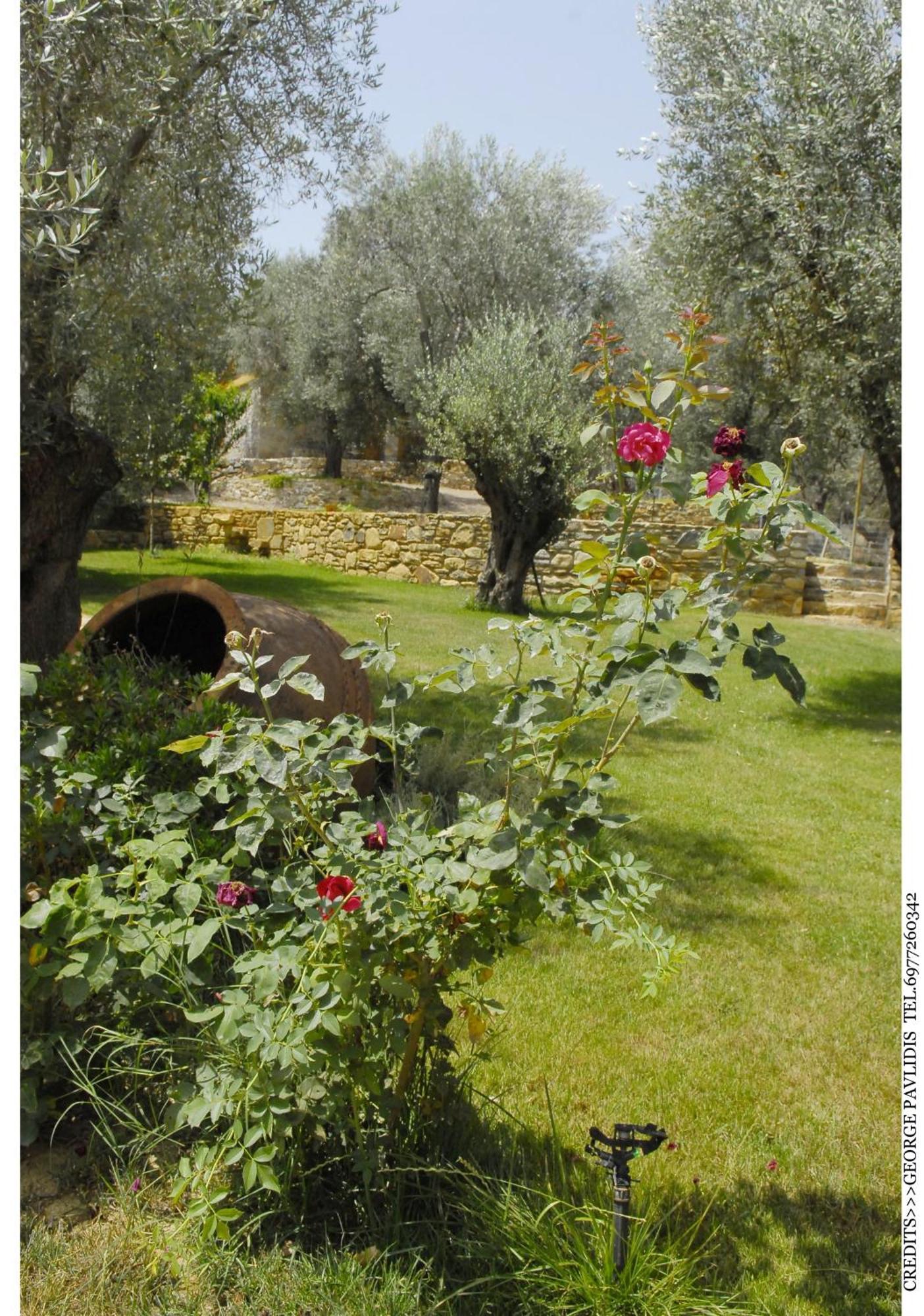 Gera'S Olive Grove - Elaionas Lesvou Hotel Marmaro  ภายนอก รูปภาพ