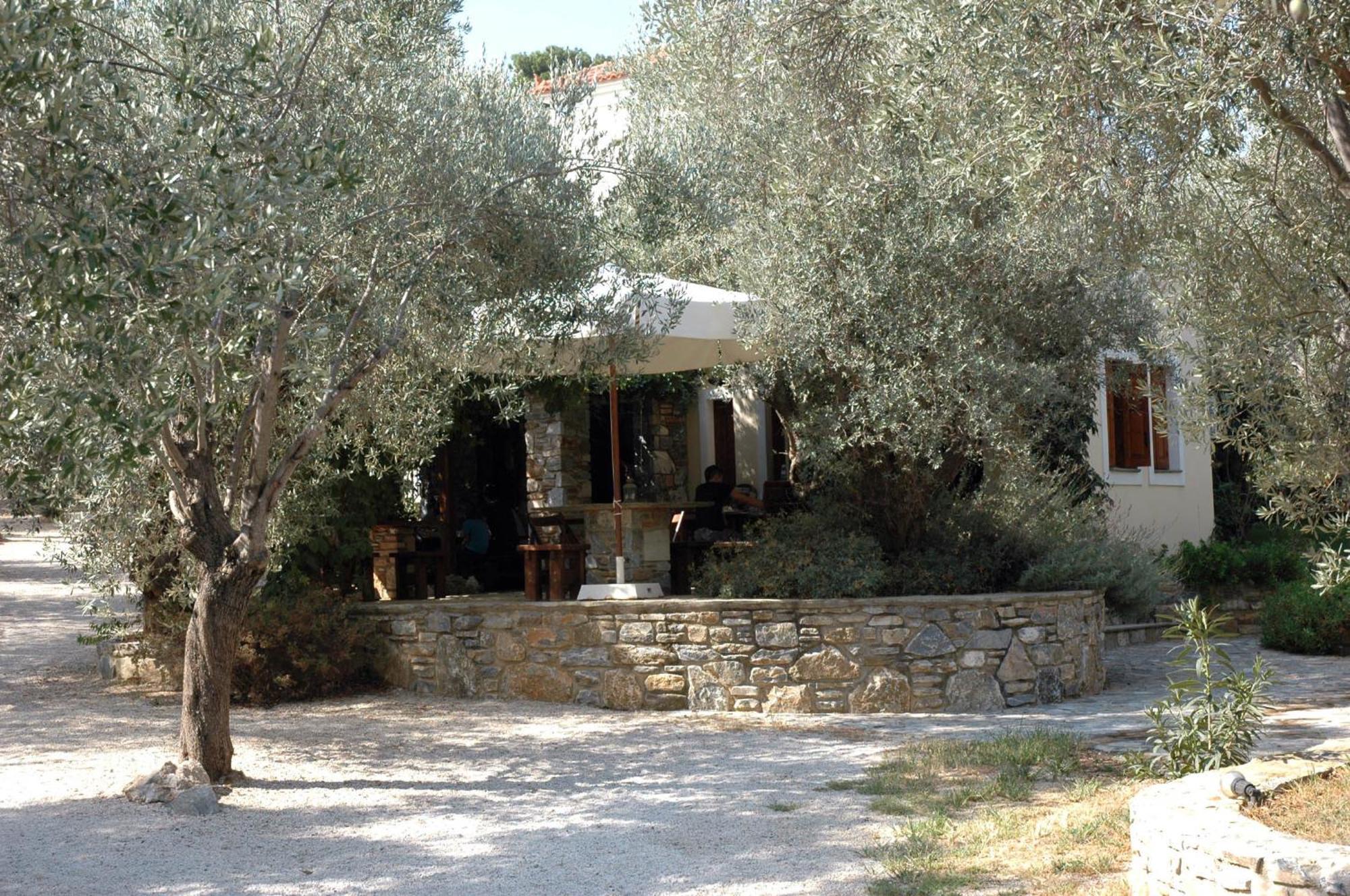 Gera'S Olive Grove - Elaionas Lesvou Hotel Marmaro  ภายนอก รูปภาพ