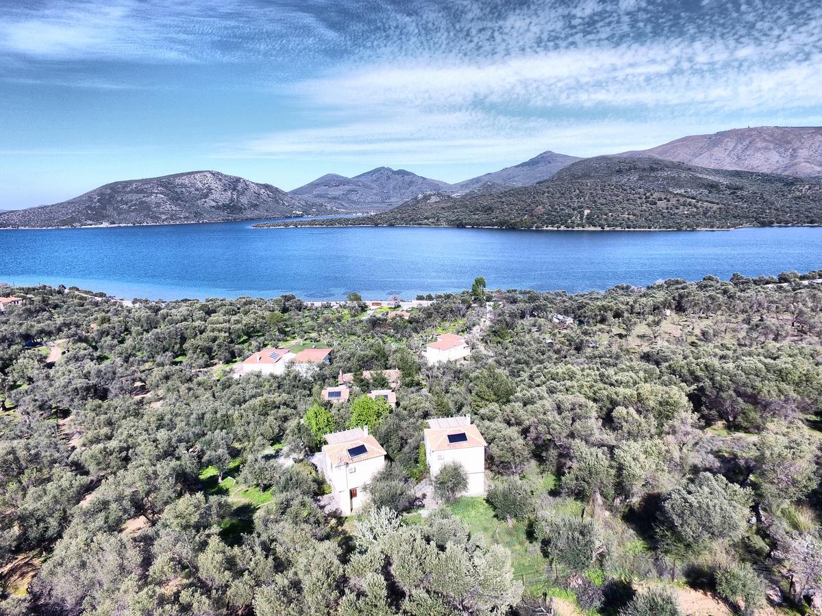 Gera'S Olive Grove - Elaionas Lesvou Hotel Marmaro  ภายนอก รูปภาพ