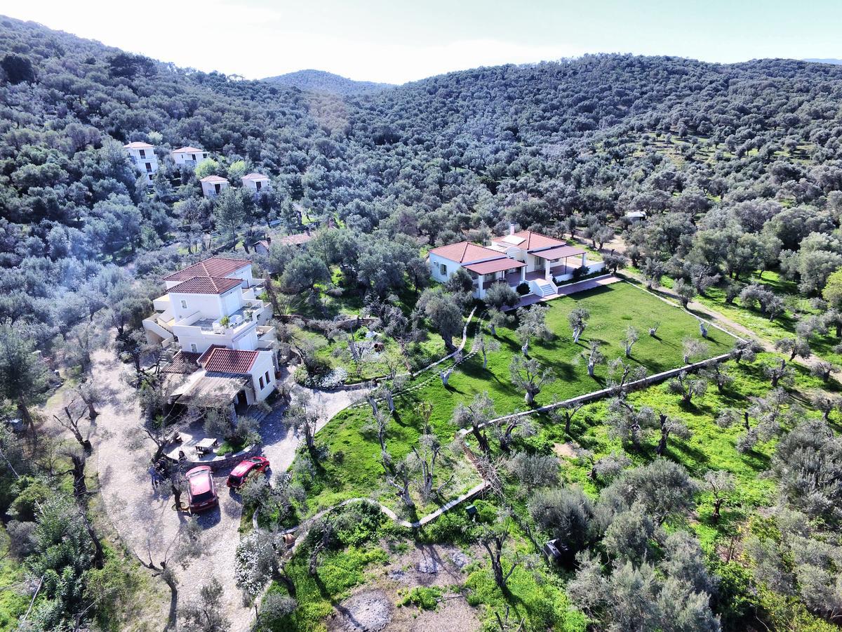 Gera'S Olive Grove - Elaionas Lesvou Hotel Marmaro  ภายนอก รูปภาพ