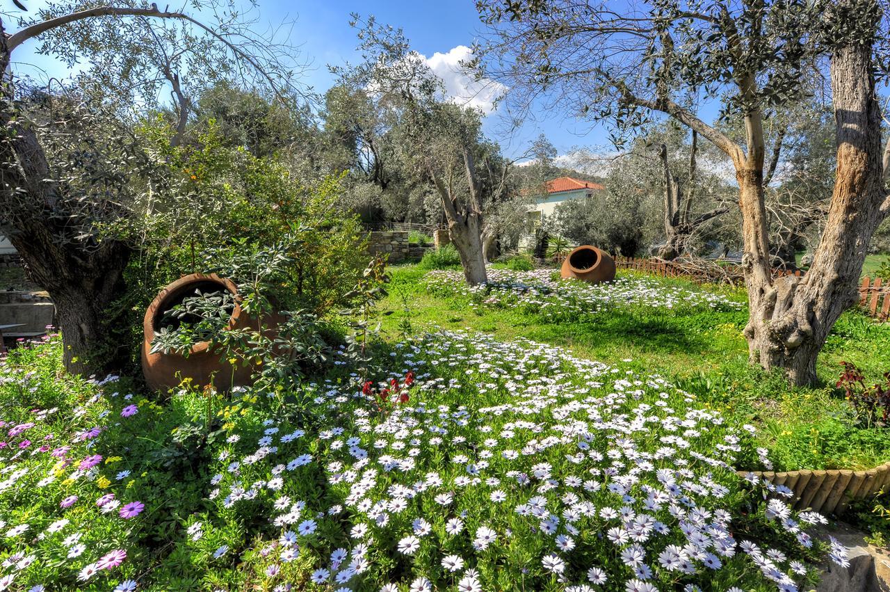 Gera'S Olive Grove - Elaionas Lesvou Hotel Marmaro  ภายนอก รูปภาพ